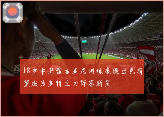18岁中卫雷吉亚尼训练表现出色有望成为多特主力阵容新星